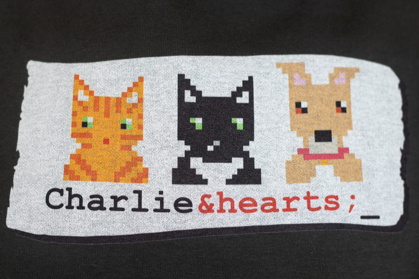Charlie & Friends Hoodie